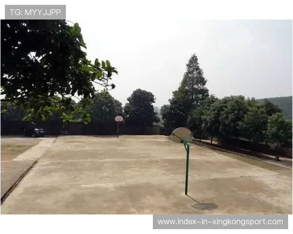 字母哥为乡村学校捐赠篮球架，孩子们兴奋不已